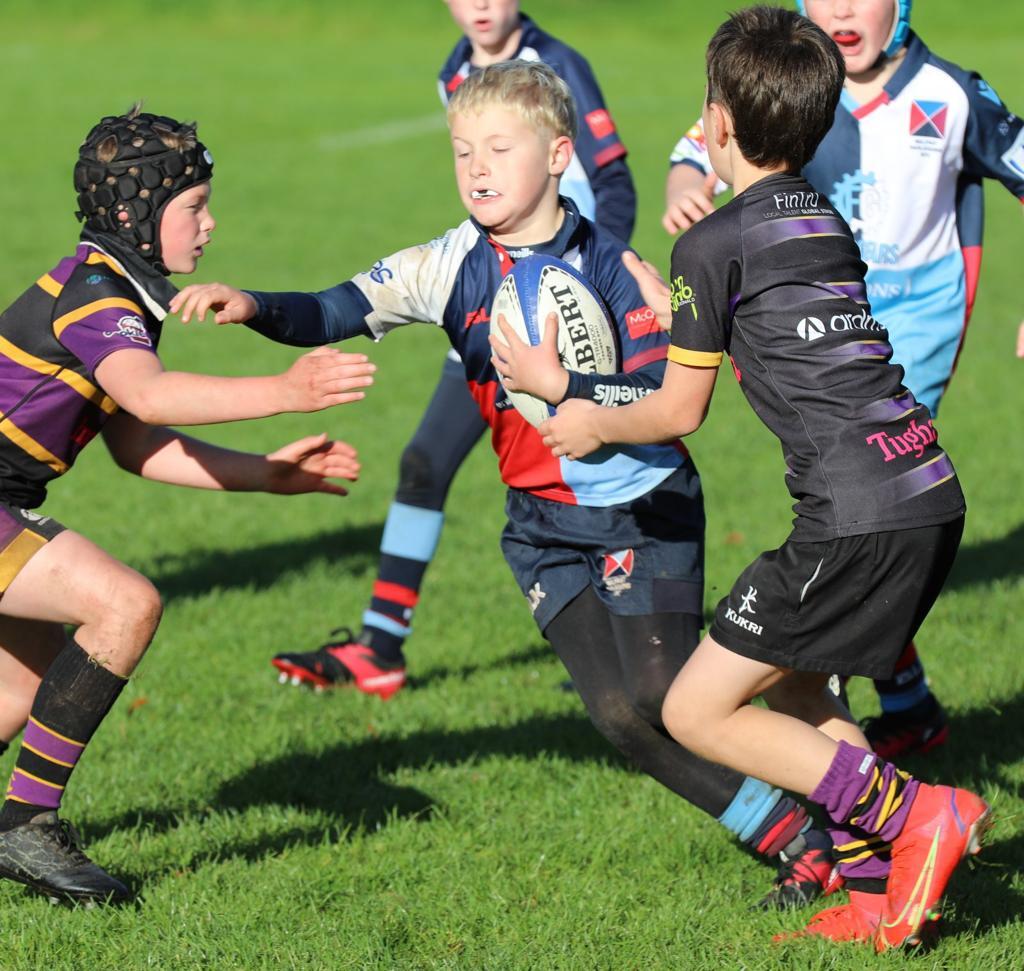 Belfast Rugby Club Python Mini Rugby | Belfast Harlequins